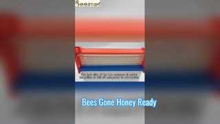 Einfaches Bienenstock-Honigextraktionswerkzeug