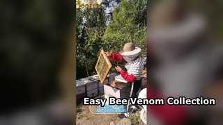 Bienengift-Sammelgerät, einfache Imkerei