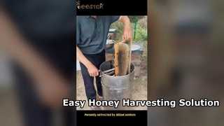 Efficient Stainless Steel Honey Extractor for Beekeepers