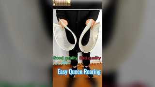 Kein Graft-System zur Aufzucht von Bienenköniginnen