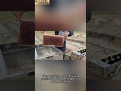 Bienenstock-Rahmenregal, Honigtank-Unterstützung