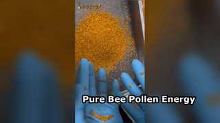 Reiner Bienenpollen, natürlicher Energiebooster