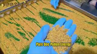 Reiner Bienenpollen, natürlicher Energieschub