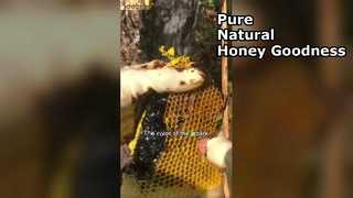 Warum schwarzer Honig das ultimative Superfood für Ihre Speisekammer ist