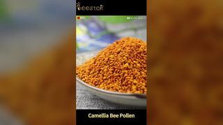 Bio-Rohbienenpollen, natürliche Energie und Wohlbefinden