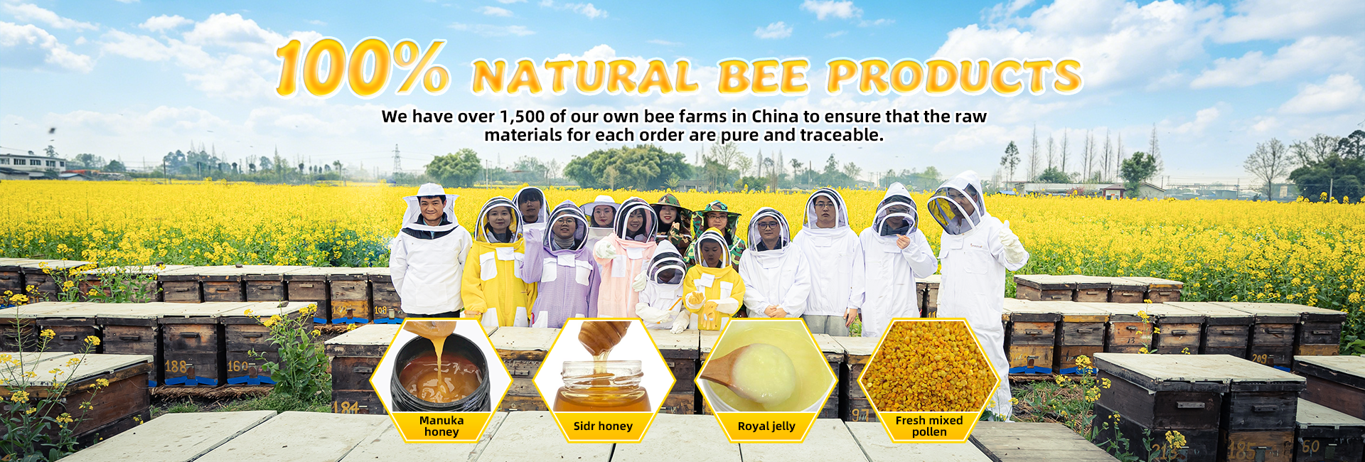 Qualität Roher Bienenpollen Fabrik