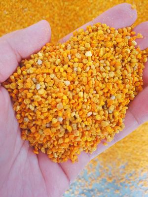 kaufen Gemischter frischer roher Bienenpollen voller Nährstoffe Big Granual on-line-Fertigung
