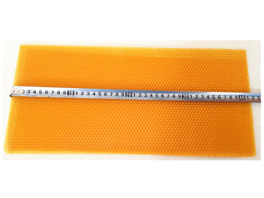 kaufen 283mm breite Plastikgrundlagen-Blatt-Bienen-Bienenstock-Ausrüstungen der schwarzen und gelben Farbe on-line-Fertigung