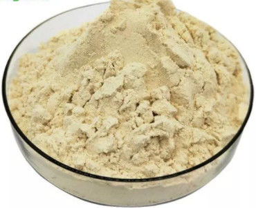 kaufen Reine organische frische königliche Jelly Lyophilized Powder 5,5% 10-HDA Honey Bee Products on-line-Fertigung