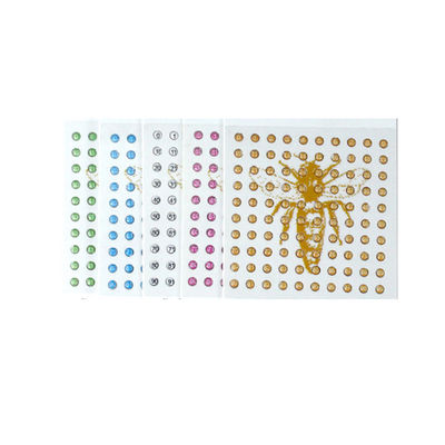 kaufen Apicultura-Imkerei bearbeitet Polymer-Bienenkönigin-Markierung für Bienenkönigin-Züchtung on-line-Fertigung