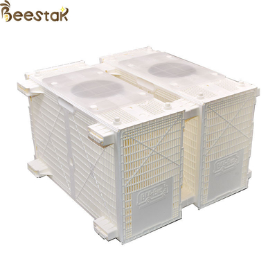 kaufen Bienenstock-Ausrüstungs-Plastikbienen-Bus-Paket-Bienen-Installations-Bienen-Käfig on-line-Fertigung
