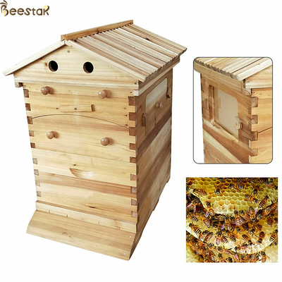 kaufen Bienenstock Bienenzucht Bienenzuchtgeräte automatisches Selbstfluss on-line-Fertigung