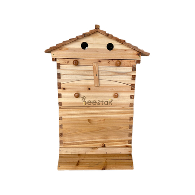 Bienenstock aus chinesischem Tannenholz mit automatischem Honigfluss für die Bienenzucht