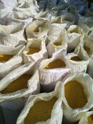 100 % biologisches Bienenpollenpulver in Lebensmittelqualität mit feuchtigkeitsspendender und entzündungshemmender Wirkung für die Bienen- und Tierfütterung