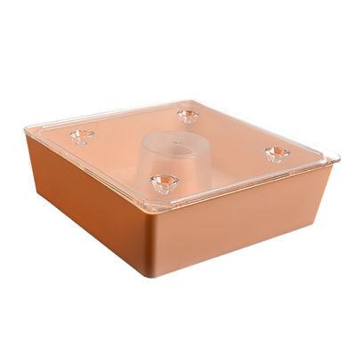 Bienen-Bienenstock-Ausrüstung der Nahrungsmittelgrad Plstic-Bienen-Zufuhr-255g