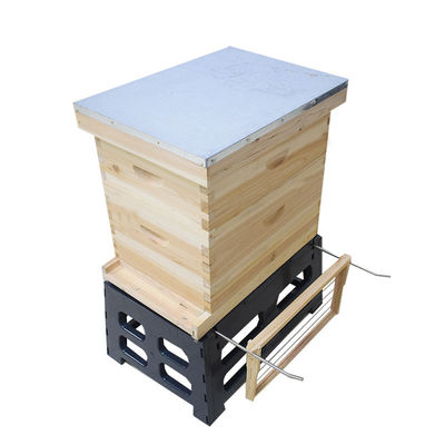 Bienen-Bienenstock-Halter Rahmen des Spants 10 der Bienenzucht 8
