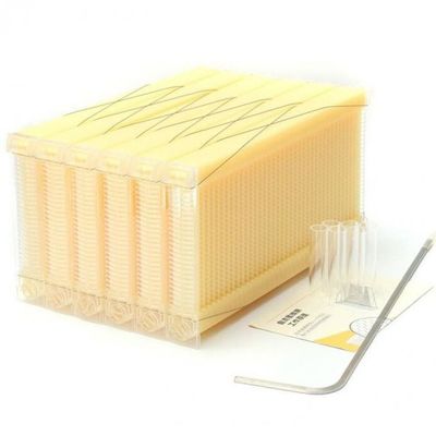 Lebensmittelqualität Kunststoff Honig Flow Frame 49,5*24,5cm für selbst fließenden Honig in Flow Bienenstock