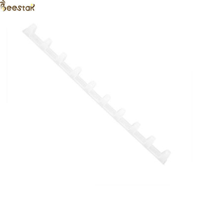 Name