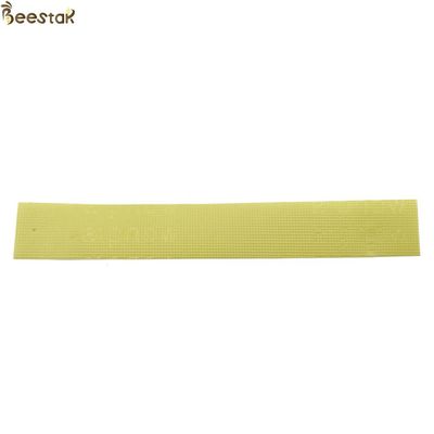 Name